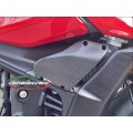 Carbonvani - Ducati Streetfighter V4 / V2 GP Style Carbon Fiber Winglet Kit (2 pieces)